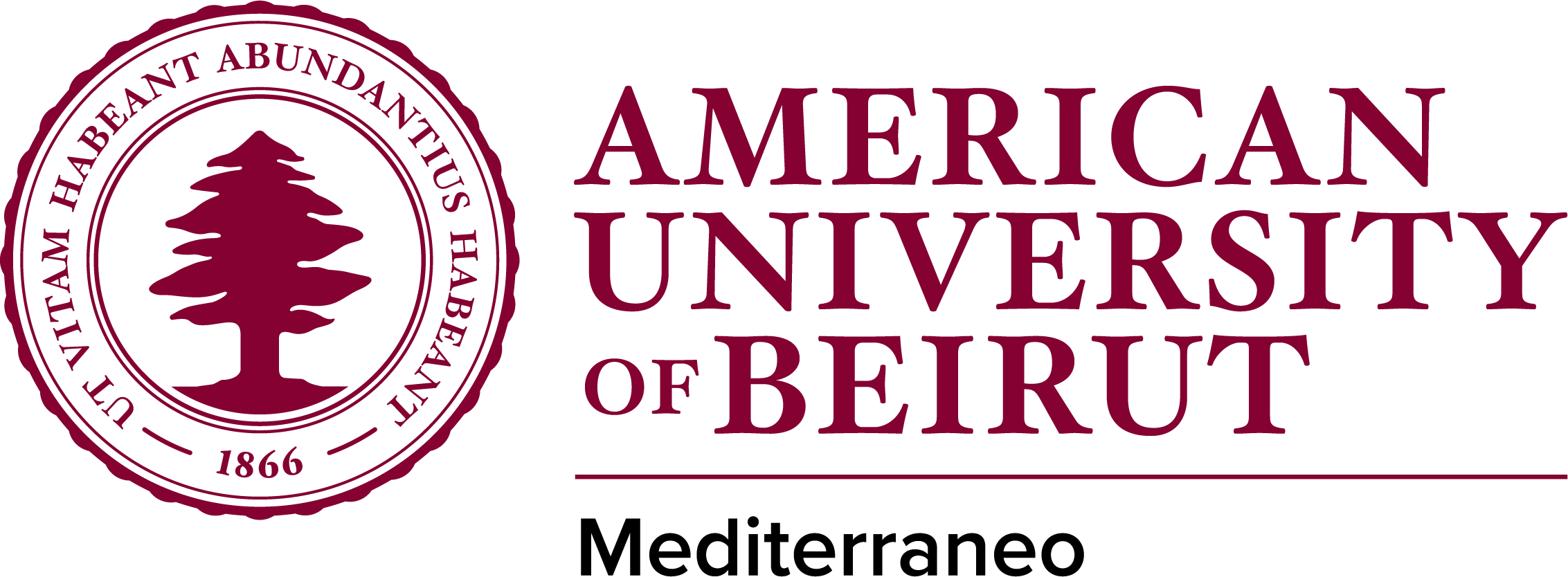 AUB Mediterraneo